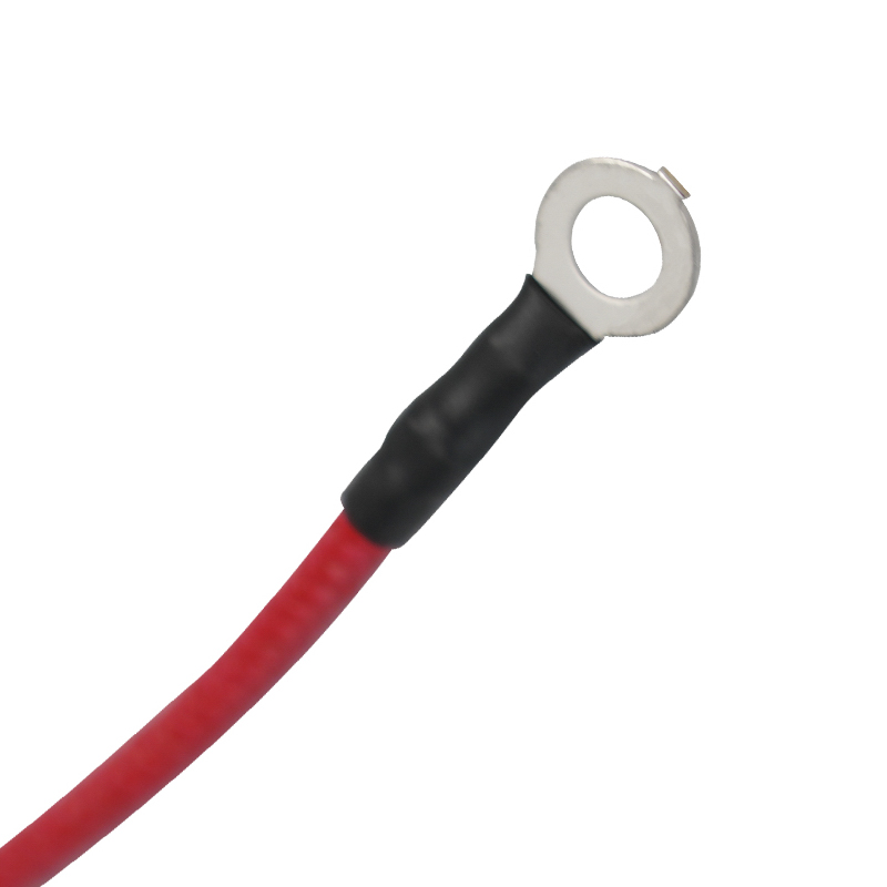 Pressura Cooker Wiring Pressura Cooker Internum Connection Wiring Pressura Cooker Wiring Pressura Cooker Internum Connection Wiring