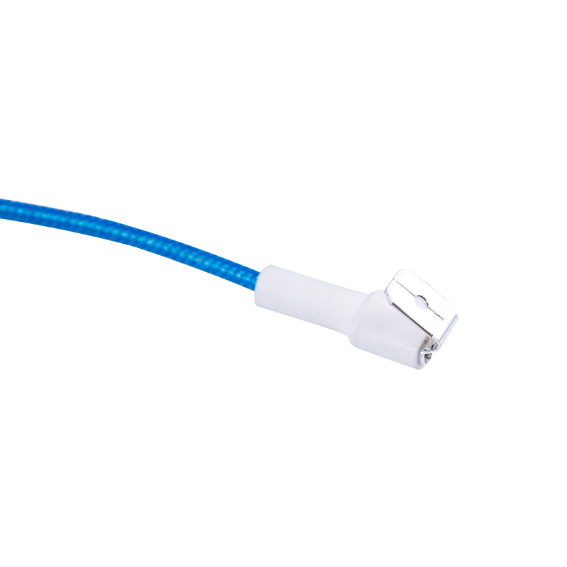 Balneo calefacientis Internum Connection Wiring Harness Balneo calefacientis Internum Connection Wiring Harness